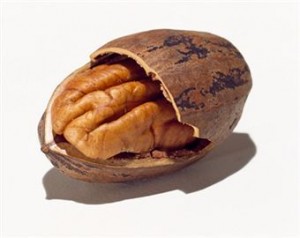 Pecan nut